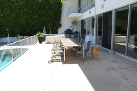 Enlarge photo 37