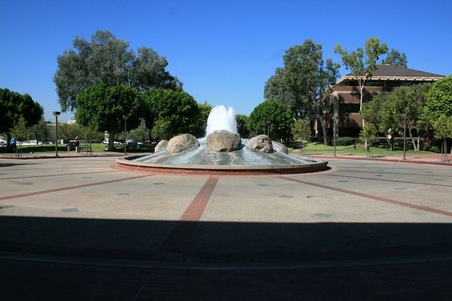 Enlarge photo 57