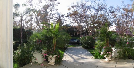 Enlarge photo 5