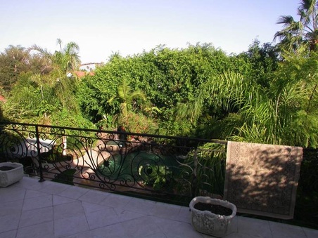 Enlarge photo 42