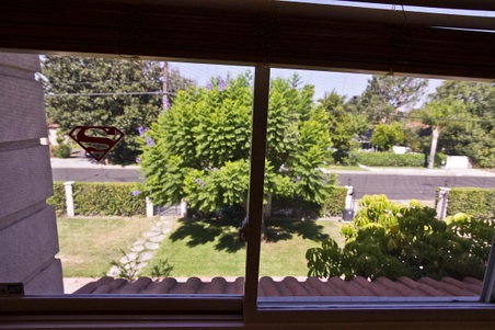 Enlarge photo 108