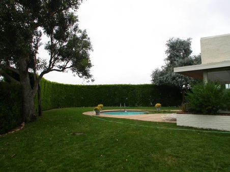 Enlarge photo 65