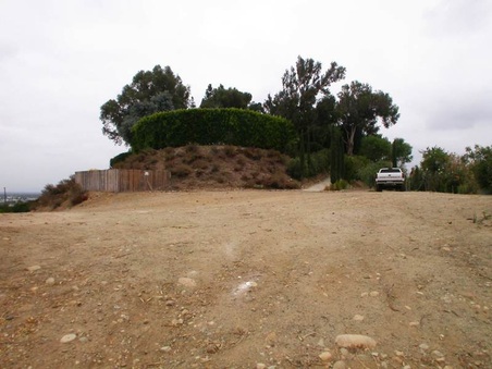 Enlarge photo 99