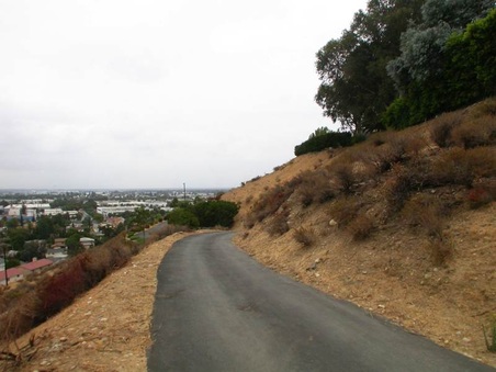 Enlarge photo 110