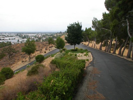 Enlarge photo 111