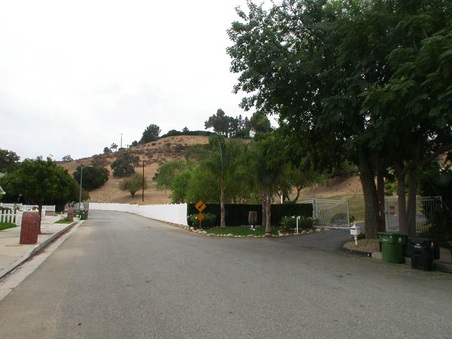 Enlarge photo 112