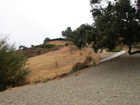 Enlarge photo 113