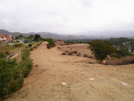 Enlarge photo 117