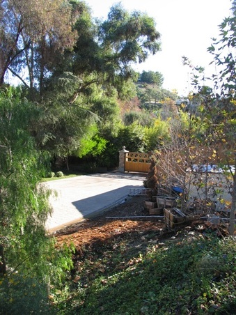 Enlarge photo 46