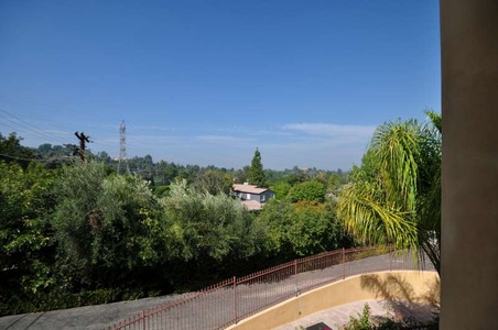 Enlarge photo 98
