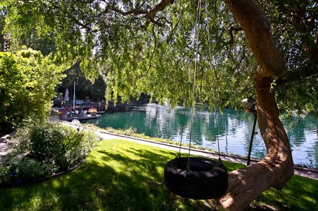 Enlarge photo 108