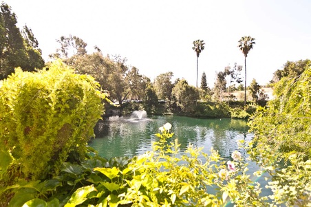 Enlarge photo 116