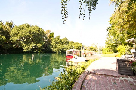 Enlarge photo 96