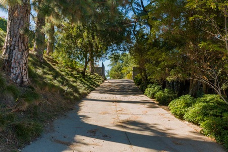 Enlarge photo 84