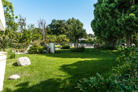 Enlarge photo 91