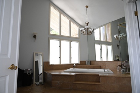 Enlarge photo 135