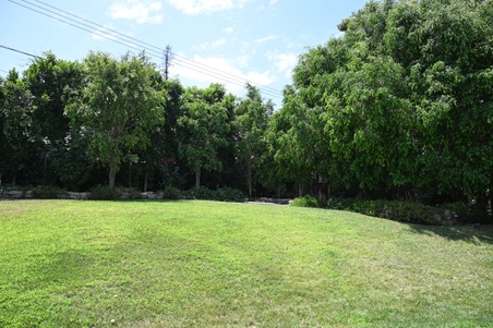 Enlarge photo 55