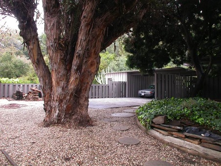 Enlarge photo 78
