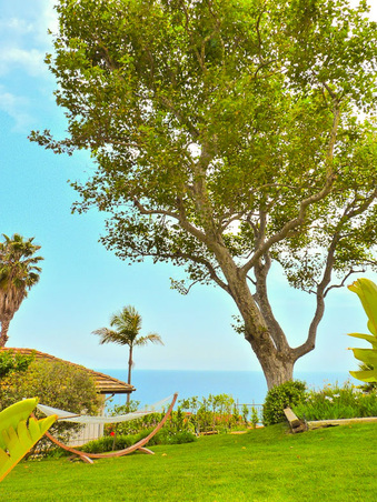 Enlarge photo 33