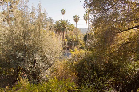 Enlarge photo 35