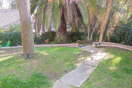 Enlarge photo 42
