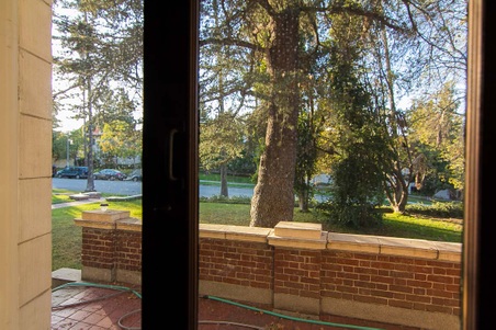 Enlarge photo 43