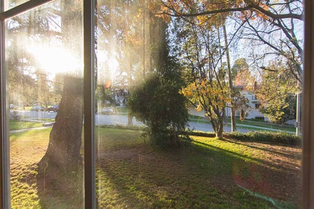 Enlarge photo 54