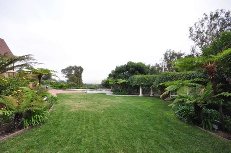 Enlarge photo 81
