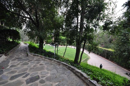 Enlarge photo 95