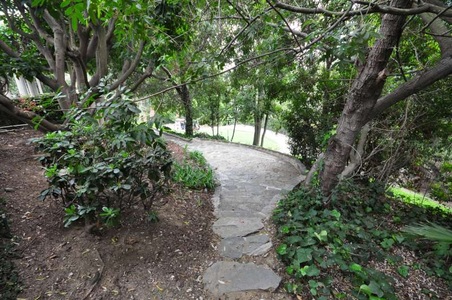 Enlarge photo 97
