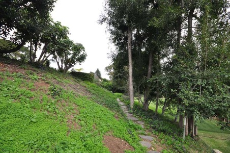 Enlarge photo 99