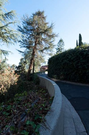 Enlarge photo 15