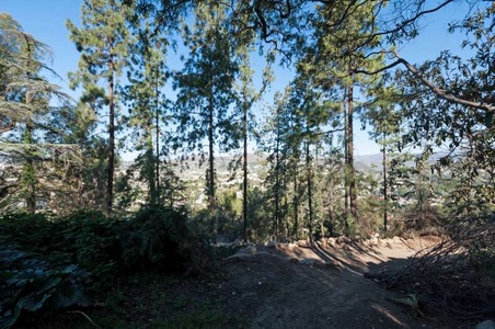 Enlarge photo 205
