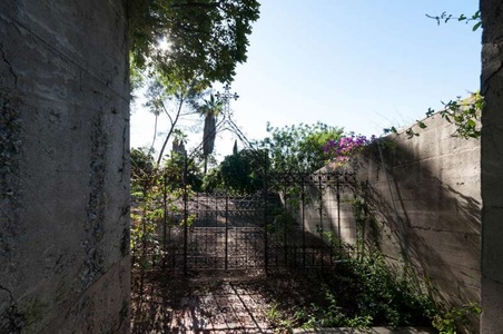 Enlarge photo 249