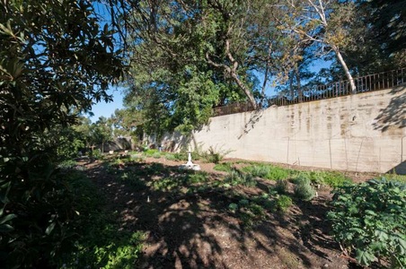 Enlarge photo 253