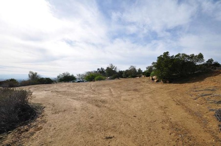Enlarge photo 83