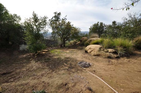 Enlarge photo 88