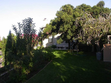 Enlarge photo 74