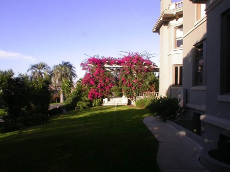 Enlarge photo 75