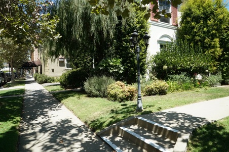 Enlarge photo 13