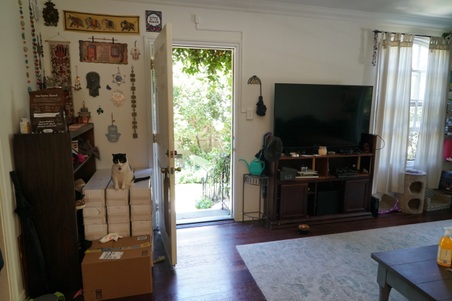 Enlarge photo 13