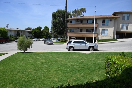 Enlarge photo 37