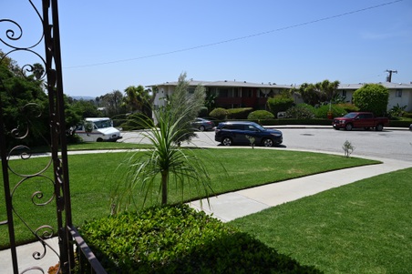 Enlarge photo 36