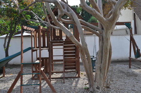 Enlarge photo 113
