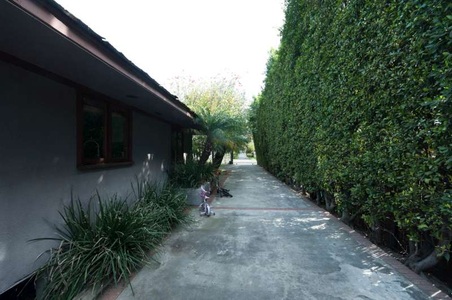 Enlarge photo 14