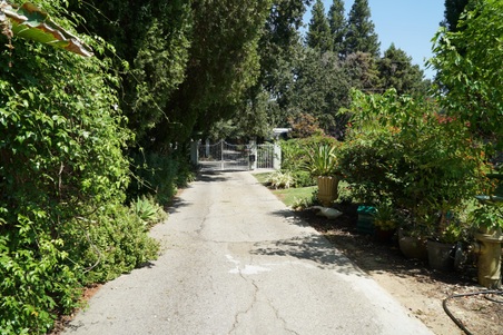Enlarge photo 5