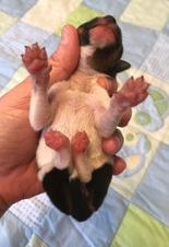 Enlarge photo 5