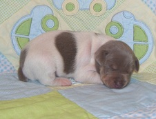 Enlarge photo 11