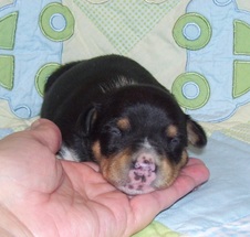 Enlarge photo 7