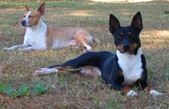 Enlarge photo 13